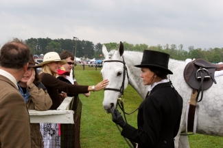 Foxfield Horse Races, VA 2005